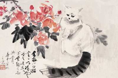 杨之光 庚申（1980）年作 小白猫 镜心